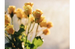 һ˵İ˵˵