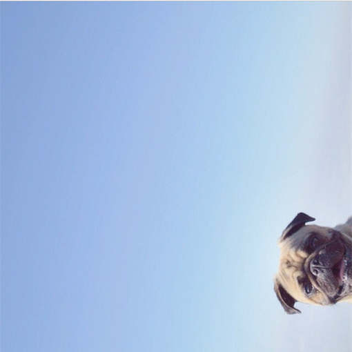 ˵˵