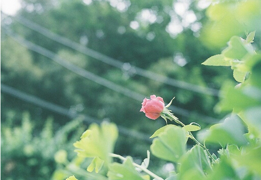 ΢Ȧ˵˵