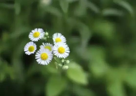 ͼ˵˵