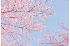 qq˵˵