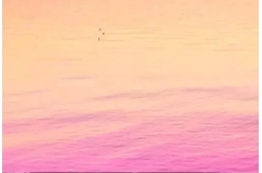 ľ
