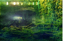 ˵ʵÿ˶ƢʵΪ¶