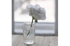 㹽˵˵ ޵˵˵