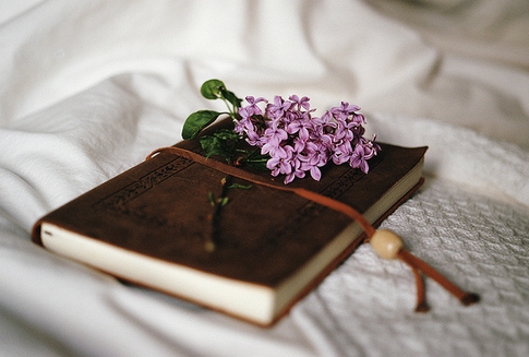 С˵˵