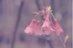 ε˵˵