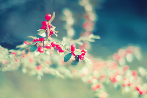 ΢ž䰮