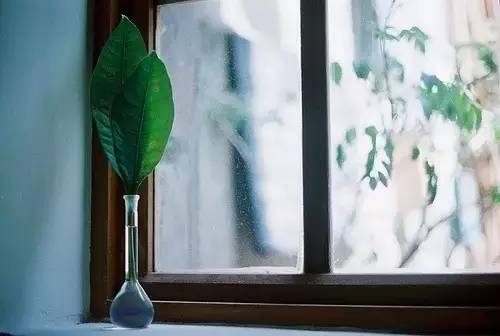ʧ˵˵
