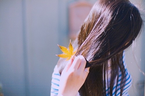 qq˸о