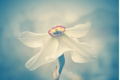 ķľ˵˵