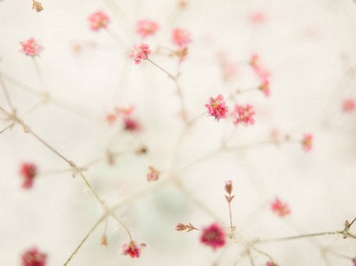 һ仰˵˵