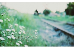 ľ˵˵
