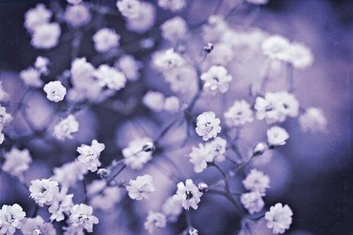 һ˵ľ