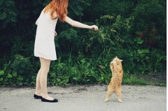 Ů˵˵