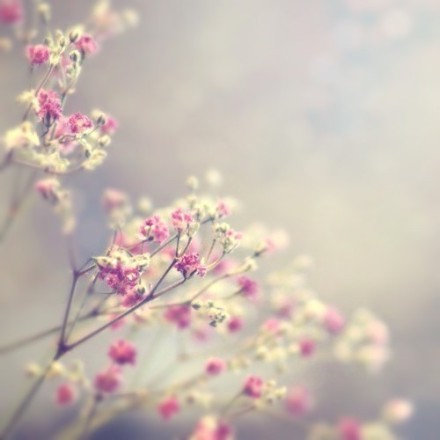 ഺľ˵˵