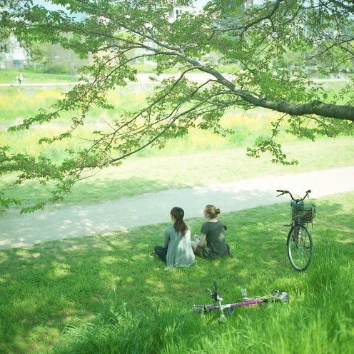 鷳˼˵˵
