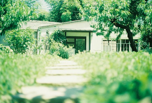˸ʫ黭ľ