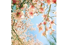 Һ۵˵˵