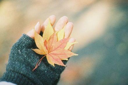ҲҪҵİ飬ƽƽ