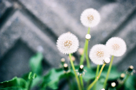 24˸۵޷Ķ̾