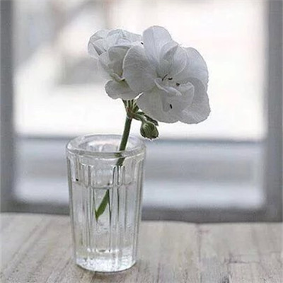 鲻ôͼƬ˵˵20