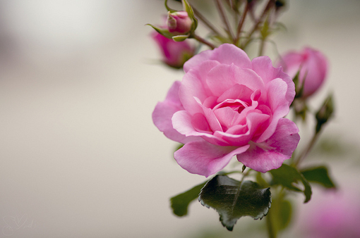 ںһ˵˵˵