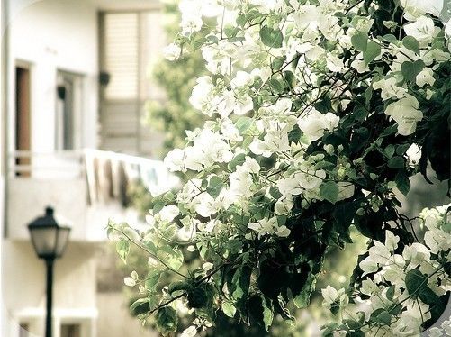 ˵˵һ飬ȫ綼Ϊ·