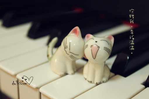 Ů˵˵˵