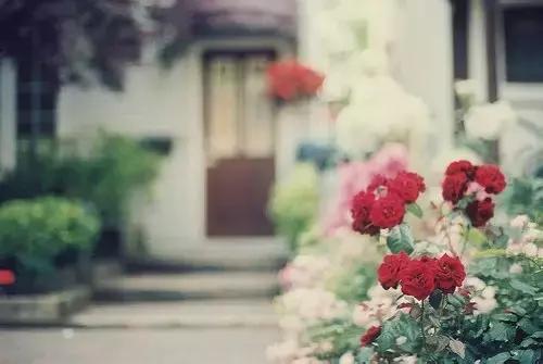 Ȧ˸ֿ˵˵