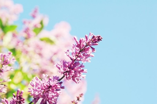 Ů˸е˵˵