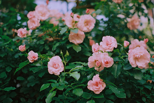 Ŀռ˵˵